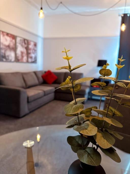 The Retreat - Large Luxury Apartment, Two Mins From Beach 伯恩茅斯 外观 照片